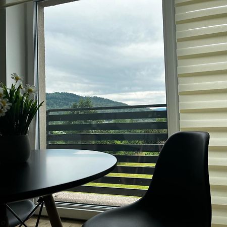Beskid Rest Apartments Zywiec Bagian luar foto