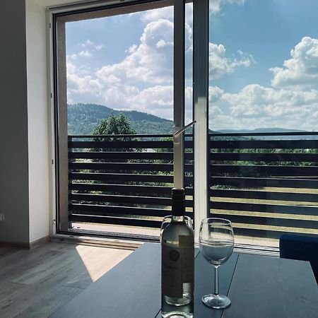 Beskid Rest Apartments Zywiec Bagian luar foto