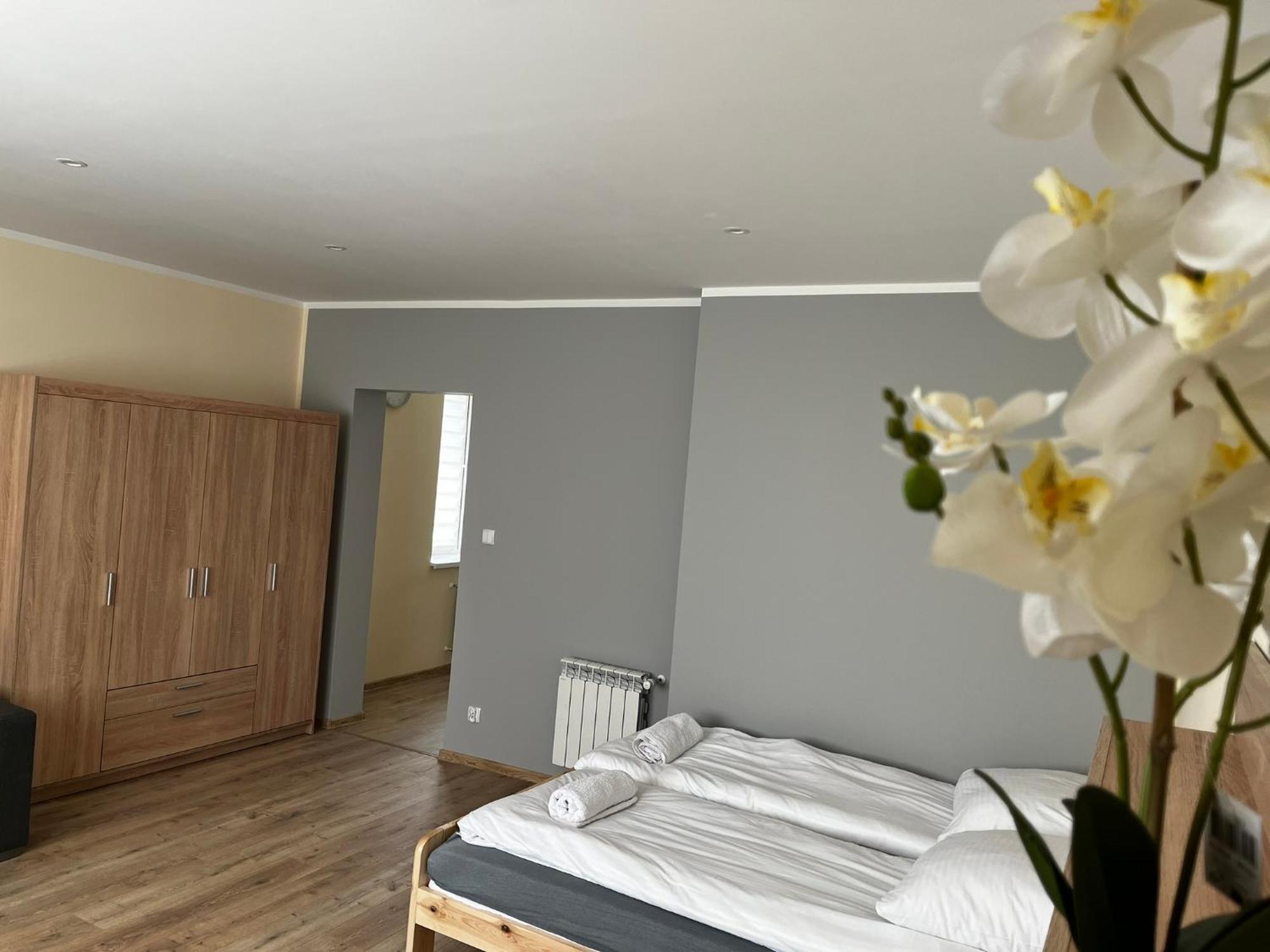 Beskid Rest Apartments Zywiec Bagian luar foto