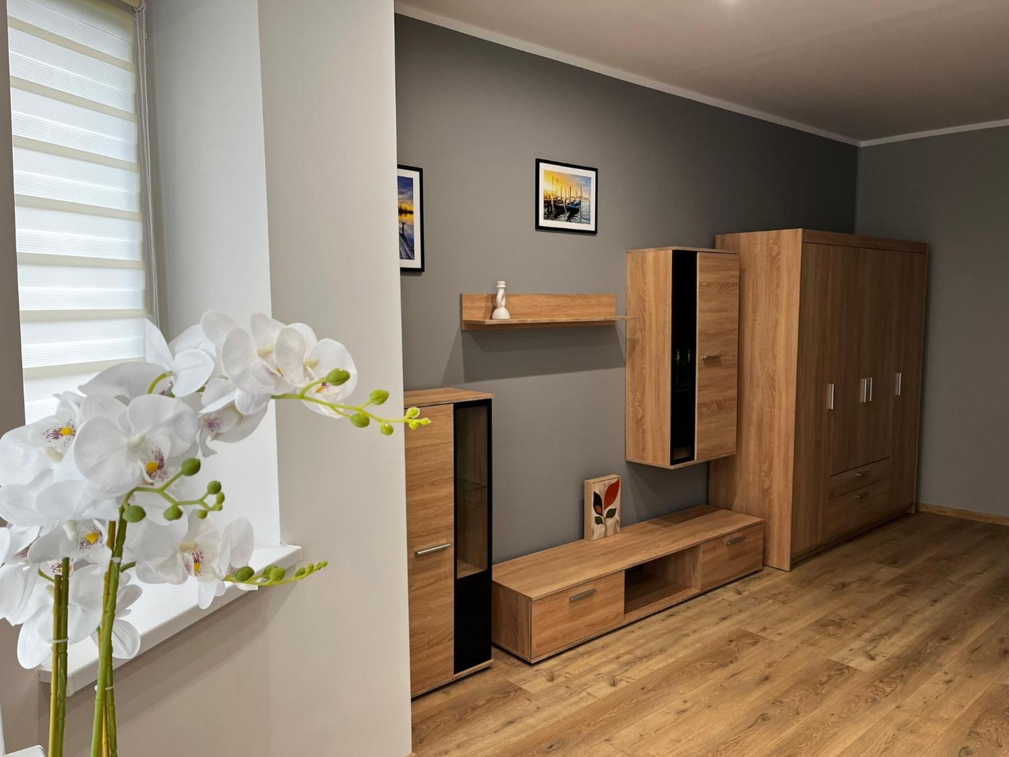 Beskid Rest Apartments Zywiec Bagian luar foto